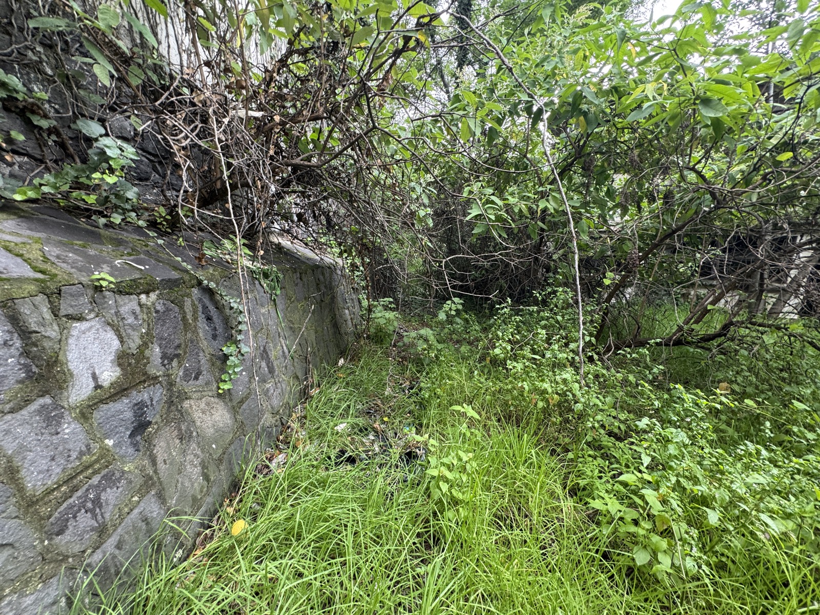 Muro de piedra del jardín posterior