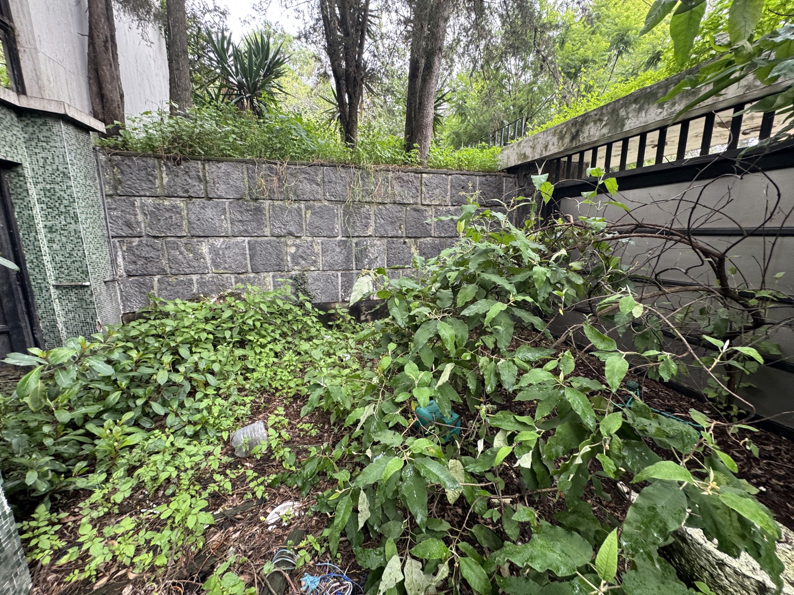 Jardín lateral, otro ángulo