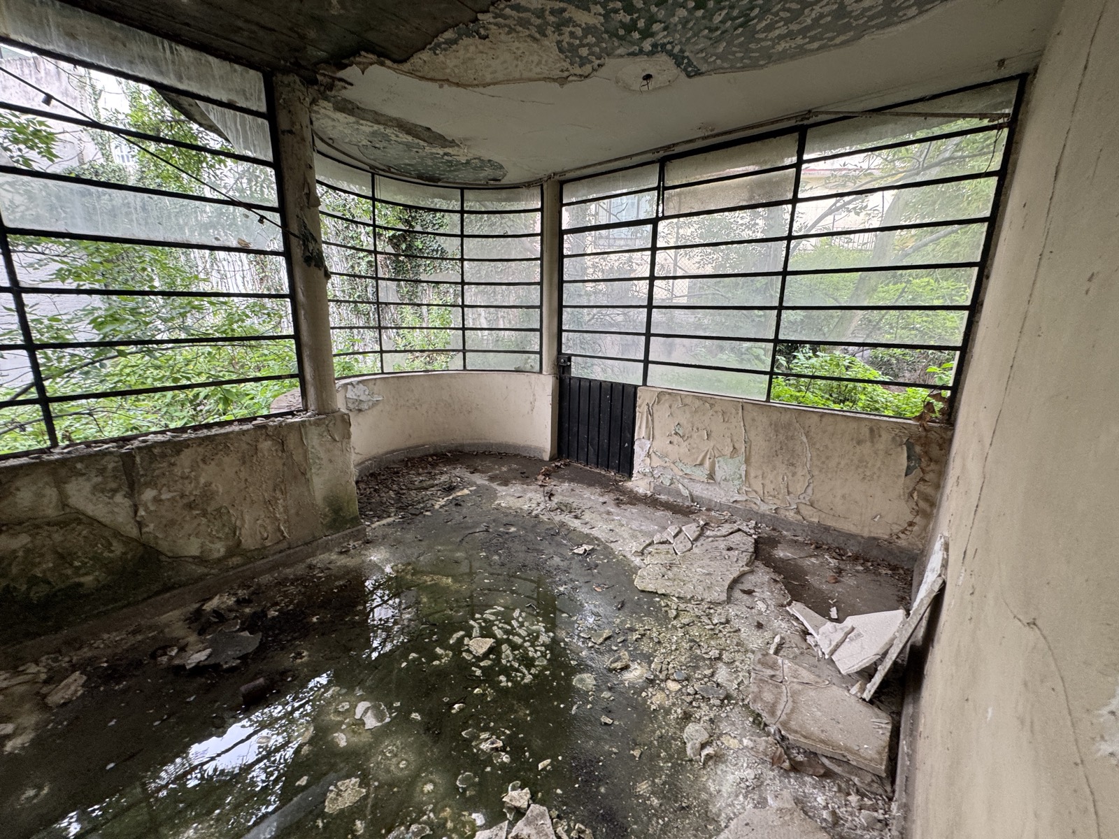 Sala con vista al jardín