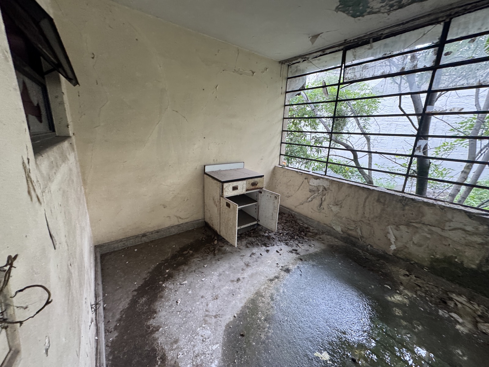 Sala con vista al jardín, otro ángulo