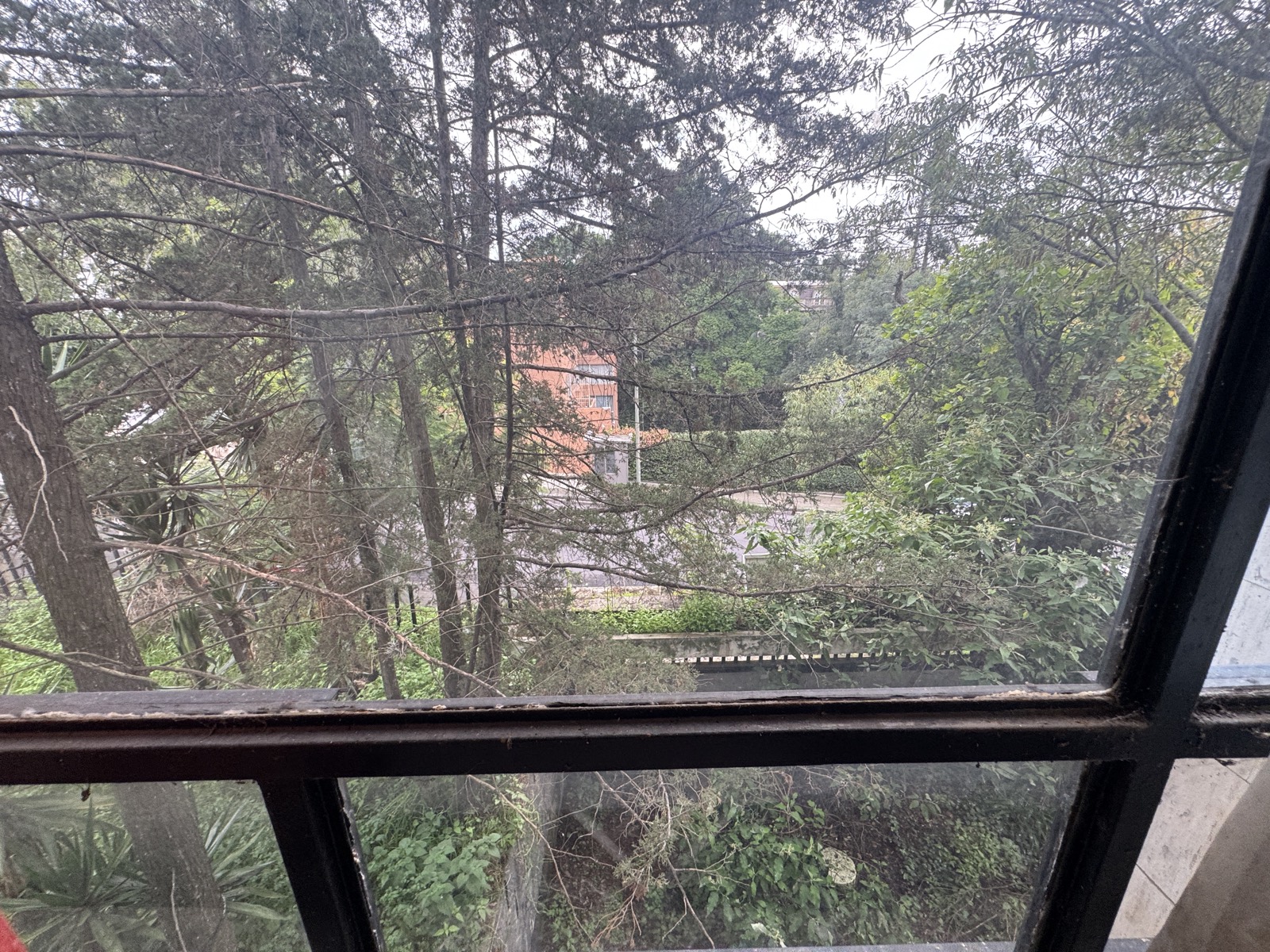Vista desde ventana