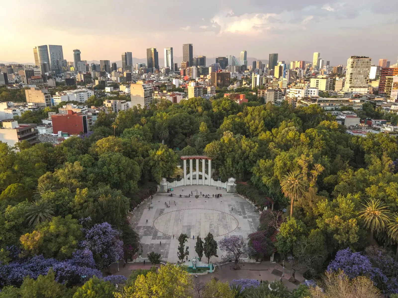 Condesa & Roma