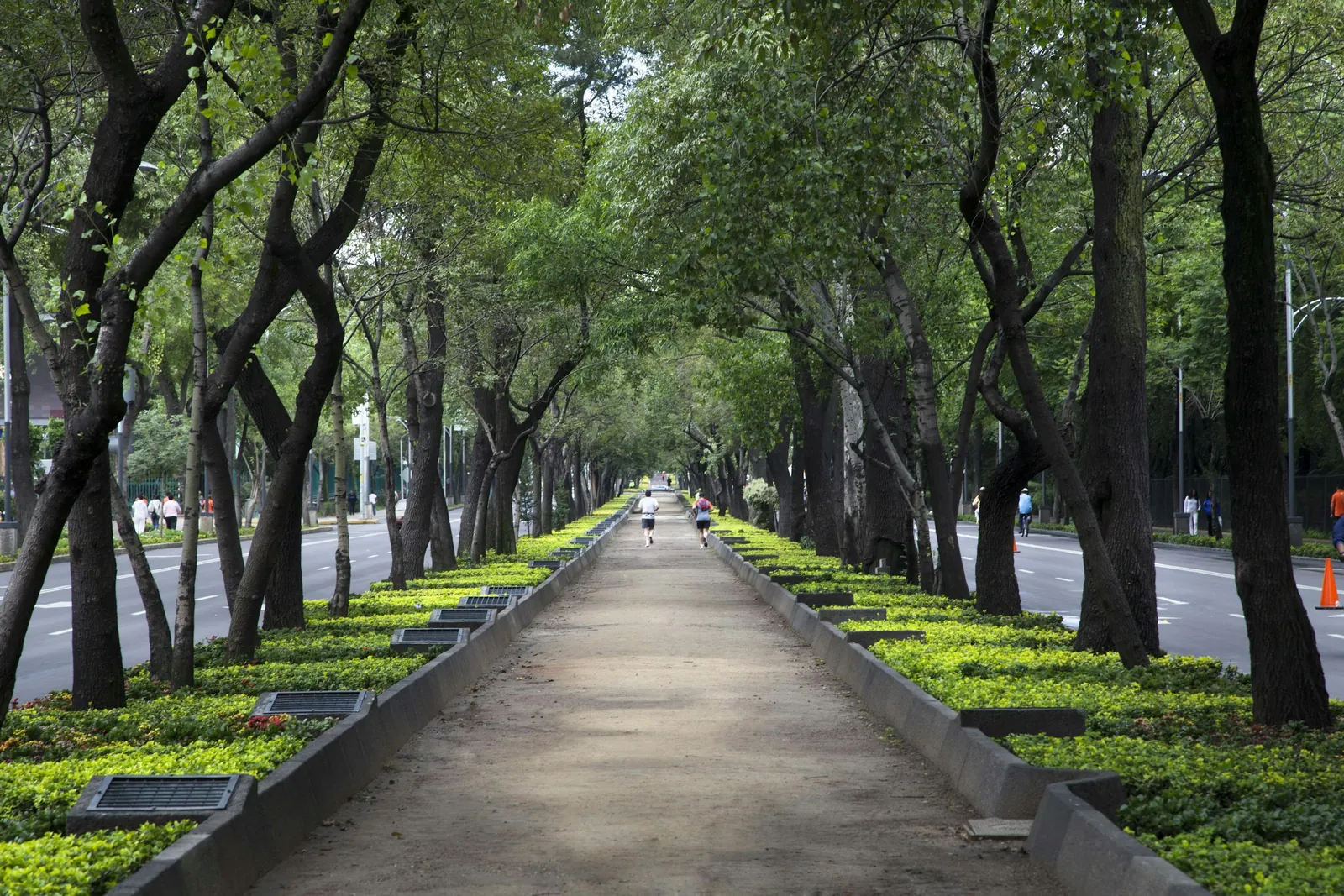 Lomas de Chapultepec