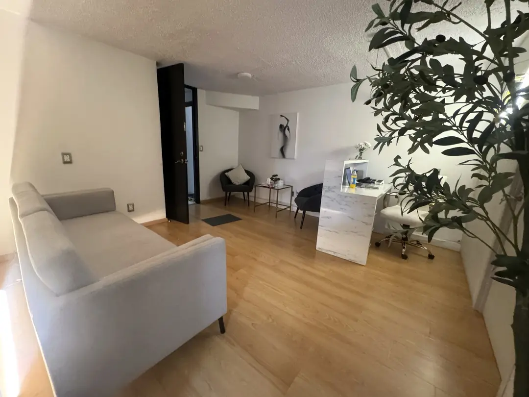 Vista general de la recepción y la sala, con piso de madera clara